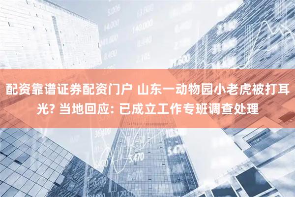 配资靠谱证券配资门户 山东一动物园小老虎被打耳光? 当地回应: 已成立工作专班调查处理