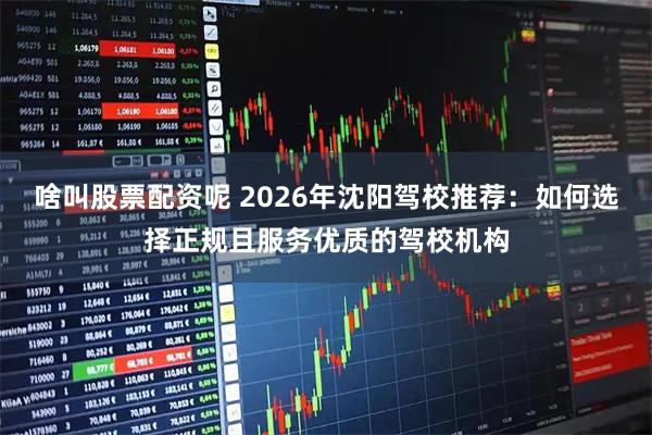 啥叫股票配资呢 2026年沈阳驾校推荐:如何选择正规且服务优质的驾校机构