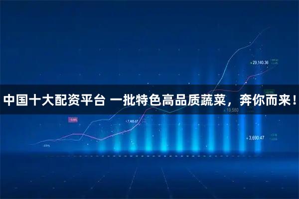 中国十大配资平台 一批特色高品质蔬菜,奔你而来!